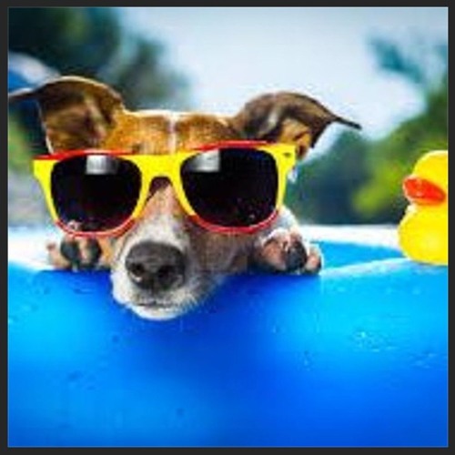 Mikey Cee Friday Bounce Summer Solstice 2025 Mix.WAV