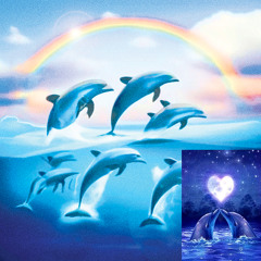 Dolphin Kiss 11-19-24