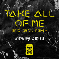 Andrew Rayel & HALIENE - Take All Of Me (Eric Senn Remix)