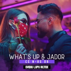 What's UP & Jador - Ce N - As Da ( Ovidiu Lupu Remix ) Extended