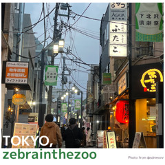 zebrainthezoo mixnmastered by sdme_진짜최종