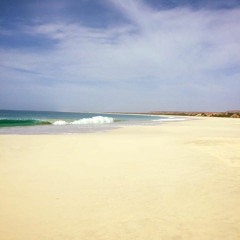 Tech House and Deep house! :)