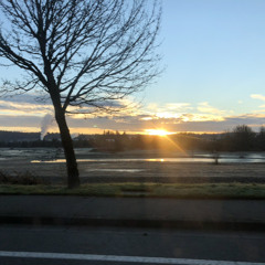 Out Of Love by Alessia Cara Cover