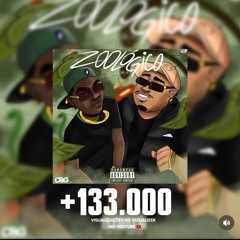 ZOOLOGICO FT: FATBOY 6.3