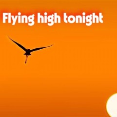 Flying high tonight (original deep mix)
