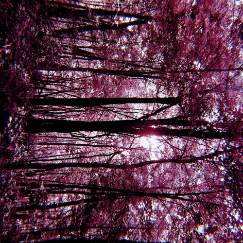 EXIST (((PROD.S L D N R)))