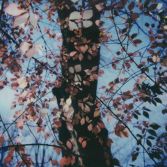 Deep Breakfast 310 ~ Benoît Pioulard