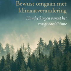 Het pad bewandelen - Thema 4