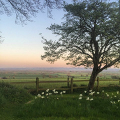 Every Detail (prod. flojy x spaceboyry)