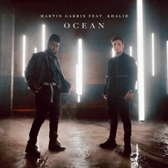 Martin Garrix & Khalid - Ocean (ZEDION Cover) (Yosef Bootleg)