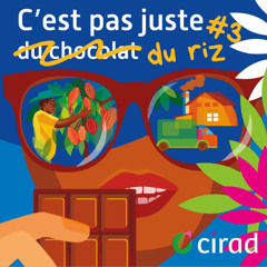 Riziculture tropicale en Camargue - S6E3