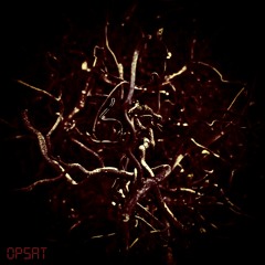 OPSAT - Wretch