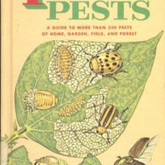 [Access] KINDLE 🖍️ Insect Pests by  Zim and Fichter [KINDLE PDF EBOOK EPUB]