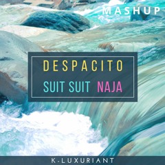 Despacito x Suit Suit x Naja (Spanish Punjabi Mashup) - K-Luxuriant