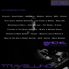 Travelling "Introspection" 036
