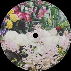 PREMIERE: Eloi - No Babe!
