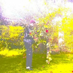 Disintegrate Into Us