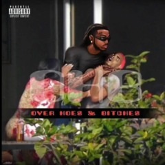 Quavo - over Hoes & B***** (Chris Brown Diss) Remix