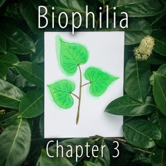 Biophilia - Chapter 3