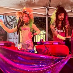 Dumpster Kittens at Tuntenhaushoffest 2024