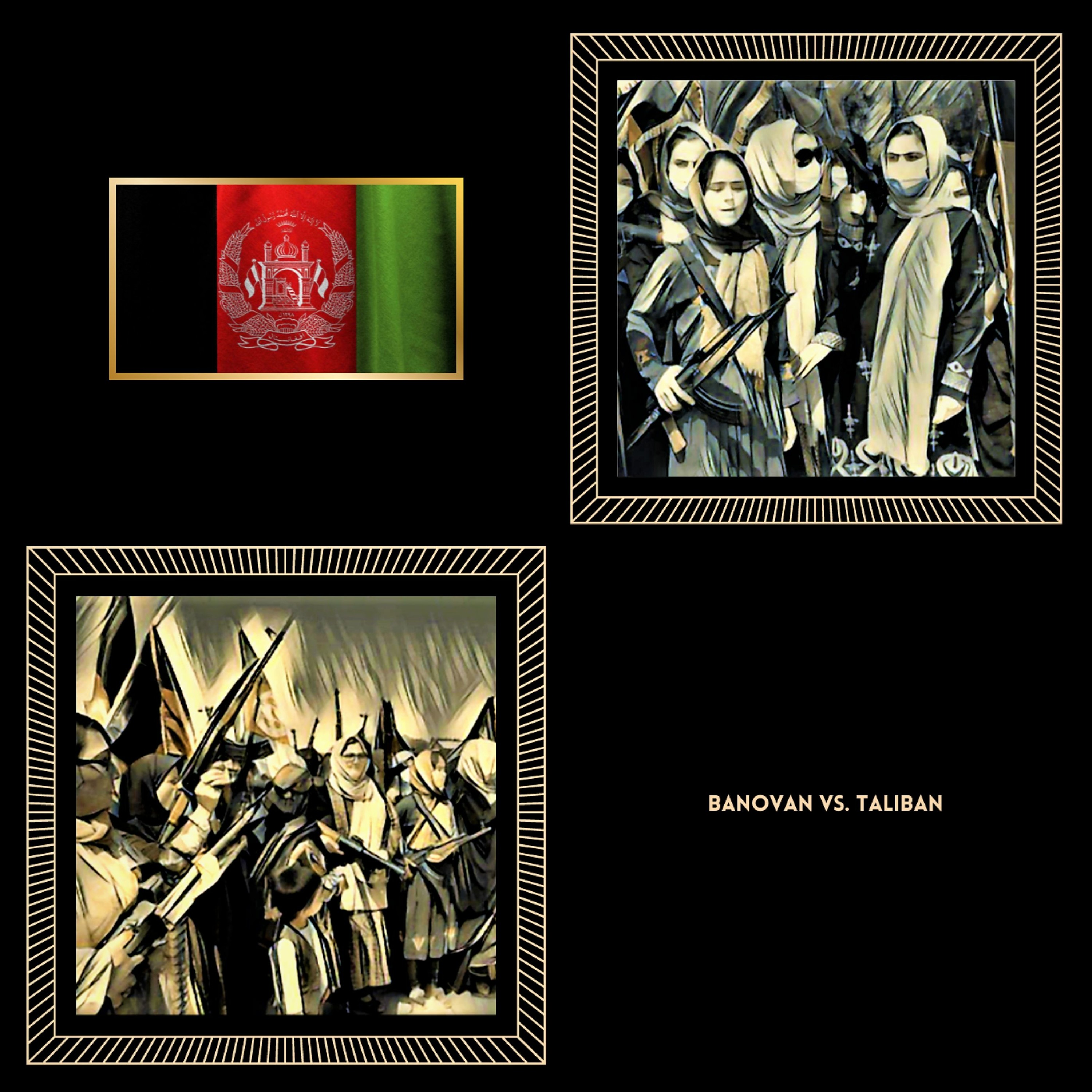 Banovan vs. Taliban