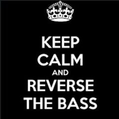 Reverse Bass Rocking (own mix)
