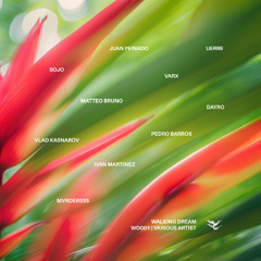 PREMIERE: VARX - Penelope [Walking Dream]