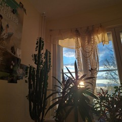Einfach Leben 🌻