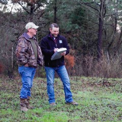 Episode 90: Talking Turkey