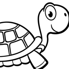 Slow