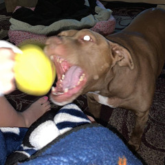 OUT by suspect (Feat. Tiger Uzumaki)