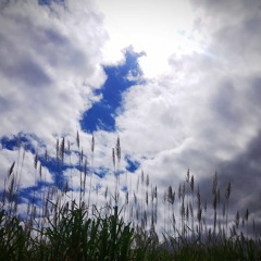 Em Meus braços - de Rafaela Pinho, por Rosana Keile