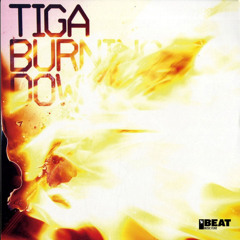 Burning Down (Extended Mix)