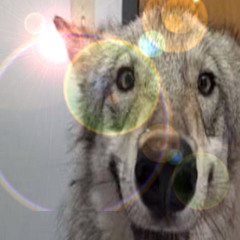 how to make 2006blumondays in now times for free