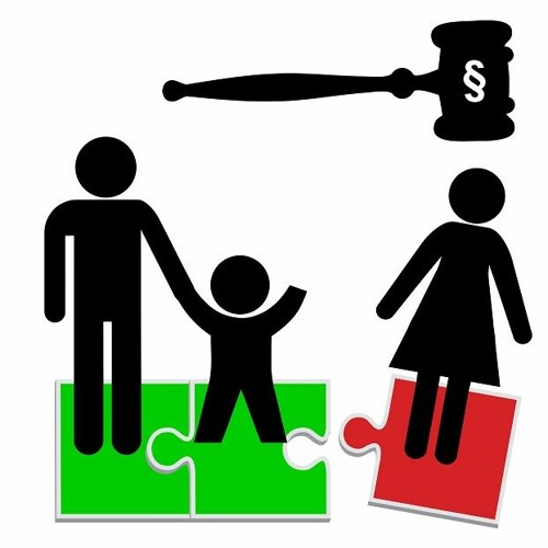 Wife Of Prominent NY Attorney Committed After Pursuing Child Custody - Needs Your Help