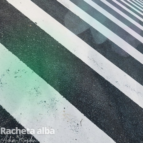 Racheta alba