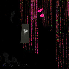 The Way I Love You (Micheál Dear. Remix)