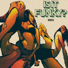 IS IT FUNKY ?? REMIX (FREE DOWNLOAD)