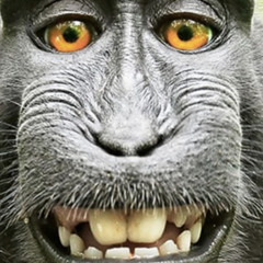 Aqueduct- embarrasment mix