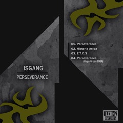 Isgang - Perseverance ( Hugo Green Remix )