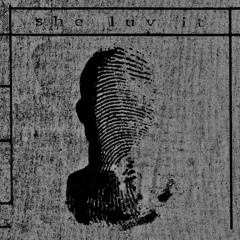 self discipline (scosty remix) / she luv it