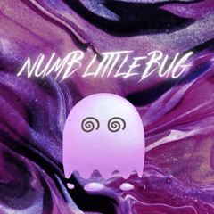 Rain Paris - Numb Little Bug
