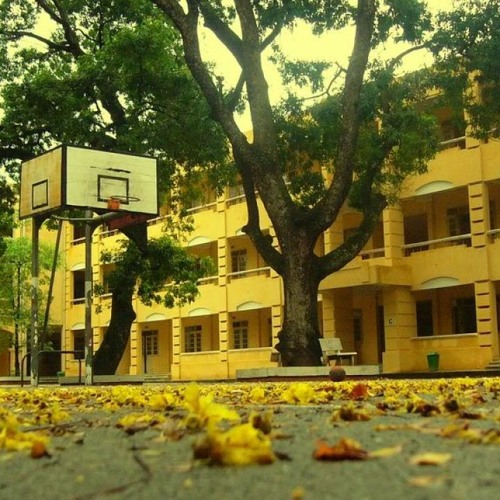 Nụ Cười 18 20 REMIX