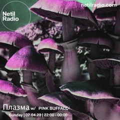 Плазма w/ PINK BUFFALO - Netil Radio - 2nd April 2023
