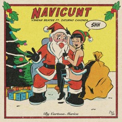 NAVICUNT