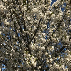 Infatuated Feat. Donald Jordan