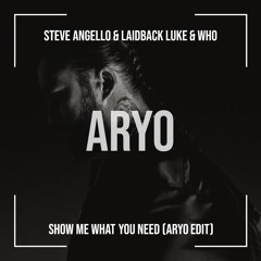 Show Me What You Need - STEVE ANGELLO & LAIDBACK LUKE & WHO (SoundCloud Version)