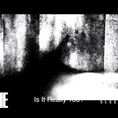 Loathe - Is It Really You - Guitar Cover