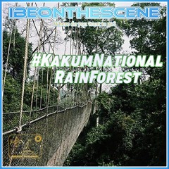 #KakumNationalRainForest