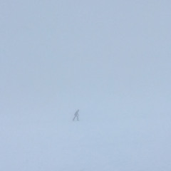 Flyby Vfr